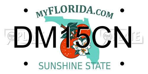 DM15CN Florida License Plate
