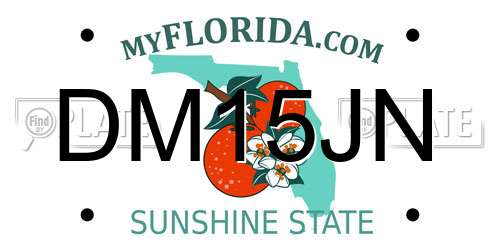 DM15JN Florida License Plate