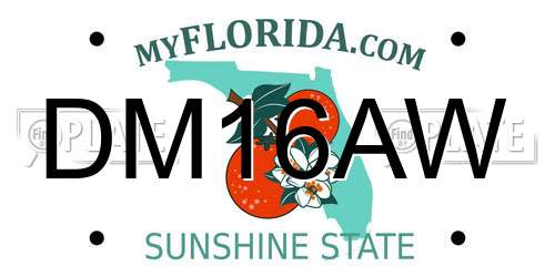 DM16AW Florida License Plate