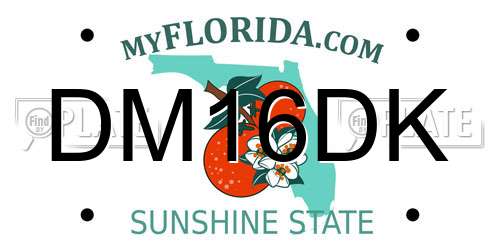 DM16DK Florida License Plate