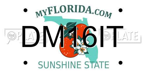 DM16IT Florida License Plate