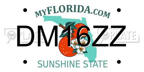 DM16ZZ Florida License Plate