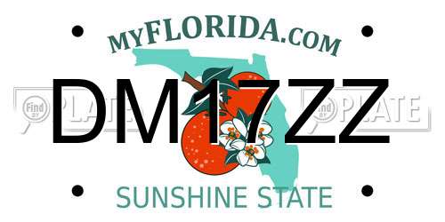 DM17ZZ Florida License Plate
