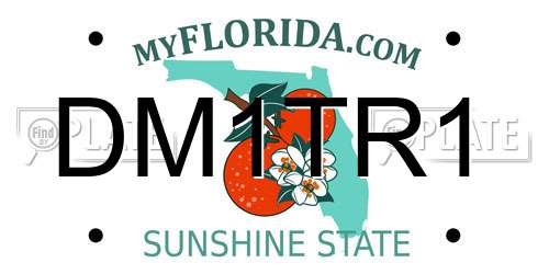 DM1TR1 Florida License Plate