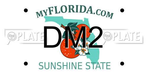 DM2 Florida License Plate