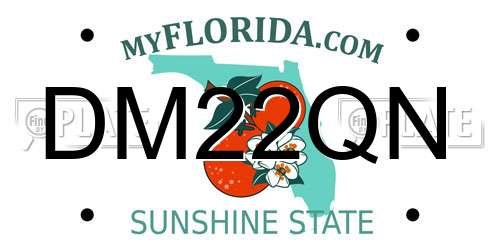 DM22QN Florida License Plate