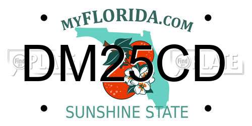 DM25CD Florida License Plate