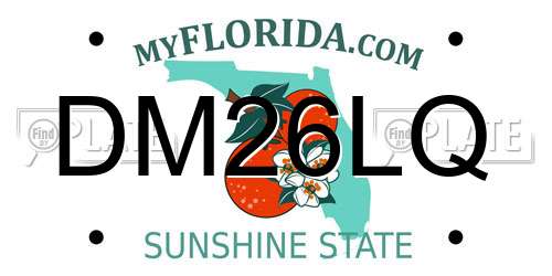 DM26LQ Florida License Plate