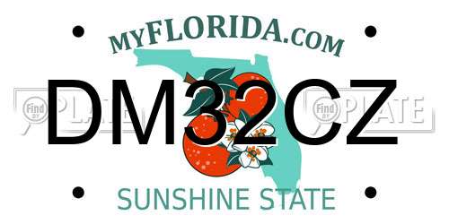 DM32CZ Florida License Plate