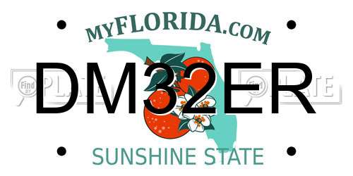 DM32ER Florida License Plate