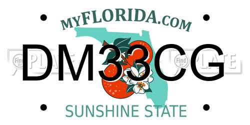 DM33CG Florida License Plate