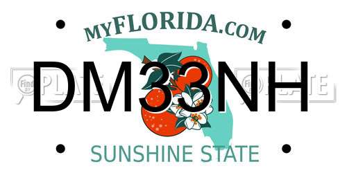 DM33NH Florida License Plate