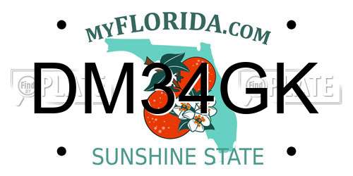 DM34GK Florida License Plate