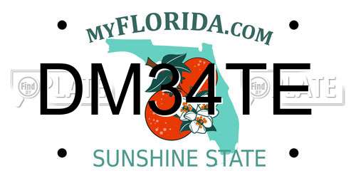 DM34TE Florida License Plate