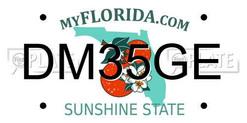 DM35GE Florida License Plate