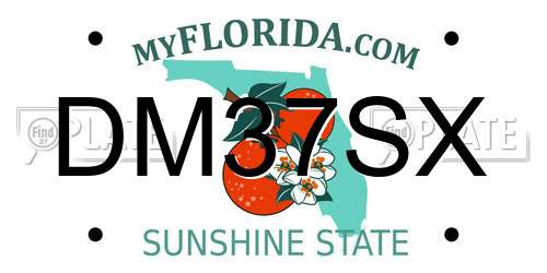 DM37SX Florida License Plate