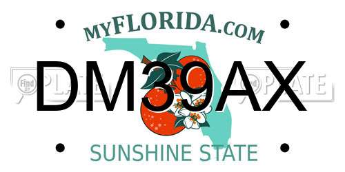 DM39AX Florida License Plate