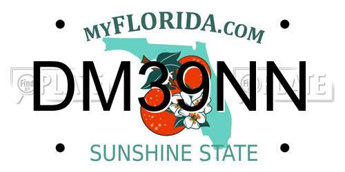 DM39NN Florida License Plate