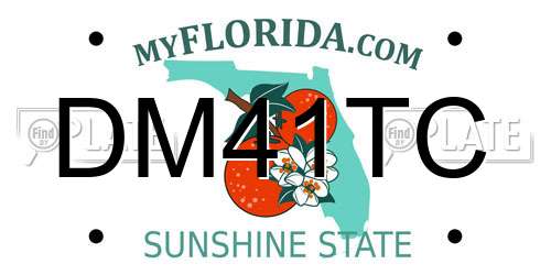 DM41TC Florida License Plate