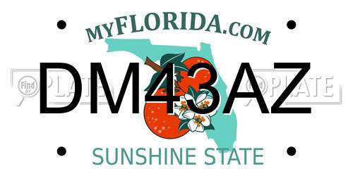 DM43AZ Florida License Plate