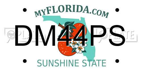 DM44PS Florida License Plate
