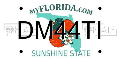 DM44TI Florida License Plate