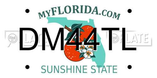 DM44TL Florida License Plate
