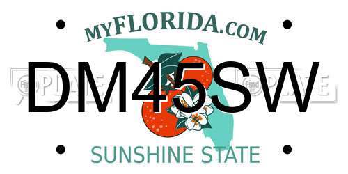 DM45SW Florida License Plate