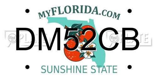 DM52CB Florida License Plate