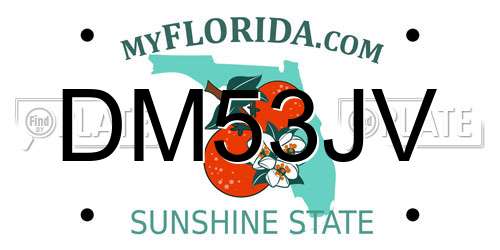 DM53JV Florida License Plate