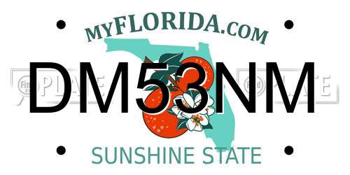 DM53NM Florida License Plate