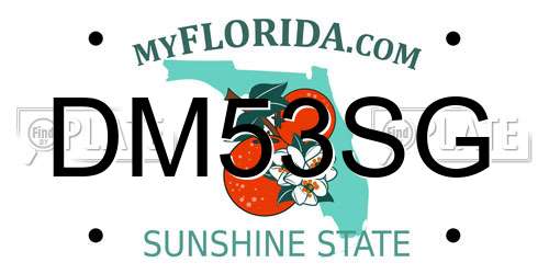 DM53SG Florida License Plate