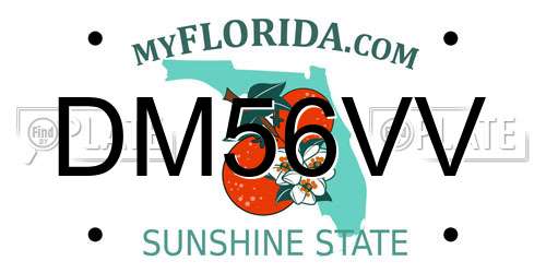 DM56VV Florida License Plate