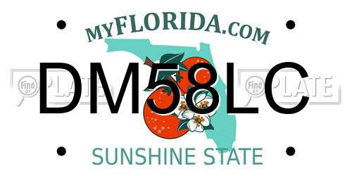 DM58LC Florida License Plate