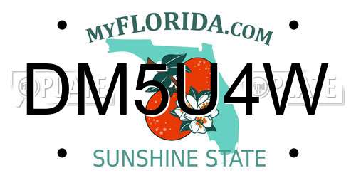 DM5U4W Florida License Plate