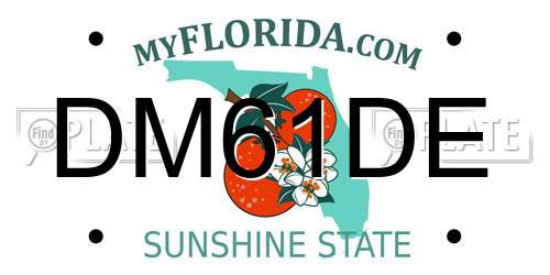 DM61DE Florida License Plate