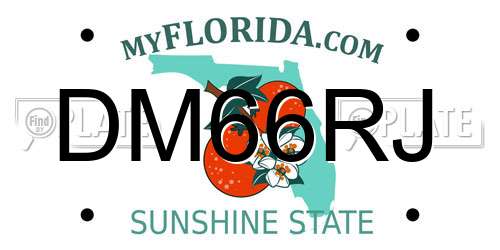 DM66RJ Florida License Plate