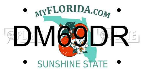 DM69DR Florida License Plate