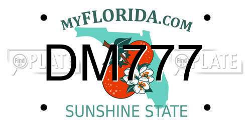 DM777 Florida License Plate