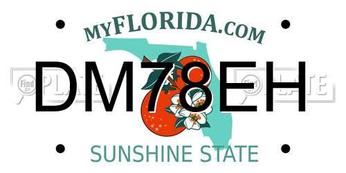 DM78EH Florida License Plate