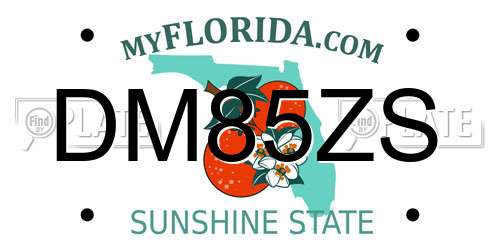 DM85ZS Florida License Plate