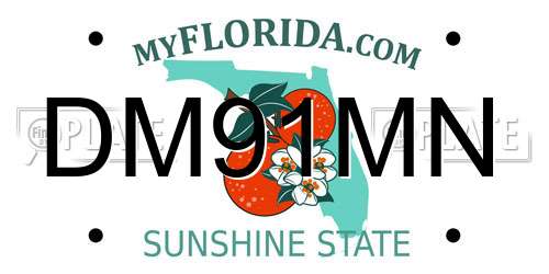 DM91MN Florida License Plate