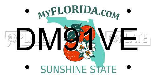 DM91VE Florida License Plate