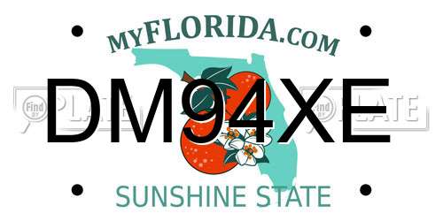 DM94XE Florida License Plate