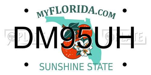 DM95UH Florida License Plate