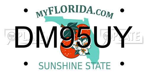 DM95UY Florida License Plate