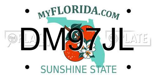 DM97JL Florida License Plate