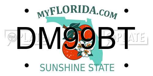 DM99BT Florida License Plate