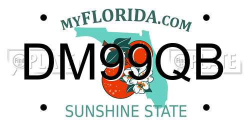 DM99QB Florida License Plate