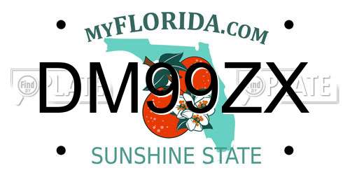 DM99ZX Florida License Plate